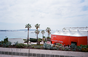 Lutte contre les nuisibles Cannes
